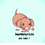 Dogs+Hailey=Life