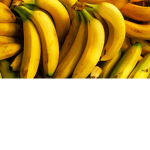 fairy banana