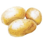 ~The Potato People~
