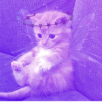 ivy purple