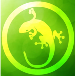 LIZARD CLOTHING