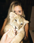 makziss