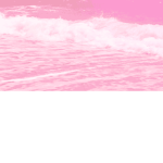 Kuroi hana