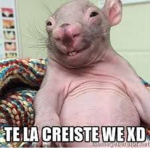 amix de awnaldpro