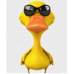 chuck the duck squad