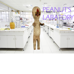 peanut's labatory