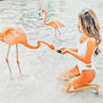 ୨- coastal creations -୧