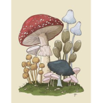 Amushroom