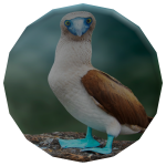 Blue-Footed Birdie Pin