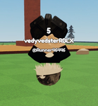 vedyvedsterRBLX