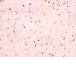 Golden Stars Dance Studio