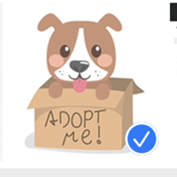 adopt a pet…