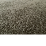 Carpet Club!