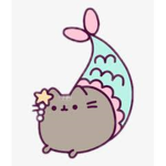 ali.k