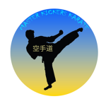 Master kickers karate
