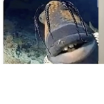 Iknowyouboiyo