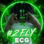 #2Fly ECG