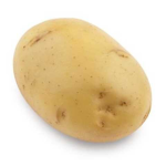 kokoti_sveta