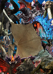 Godzilla kaijus