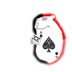Aced Chomik