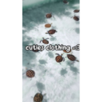 cuties clothing <3