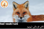 Voski Kai LLC