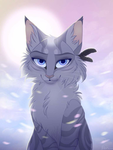 The cat squad72