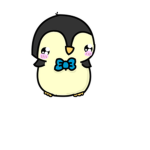 Penguins Poland