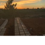 Cozy_Sunset Team