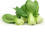 Bok Choy Religion