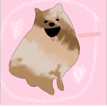 Pomeranian Cutie’s! UwU
