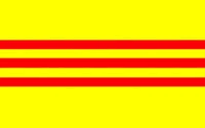 Team Việt Nam Pro Roblox group icon