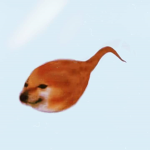 Rô free :))