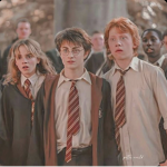 Team harrys forever
