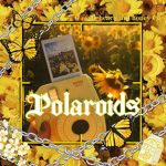 polaroids
