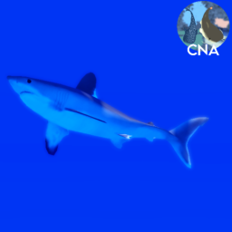 CNA Open Water Observatory (WIP)