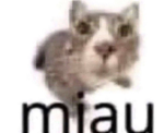 Maisie’s ########