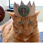 cat king group