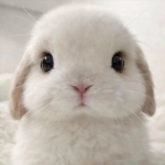 cherrily