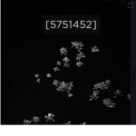 Dmfesx’s group