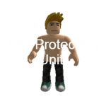 VIP Protection Unit.