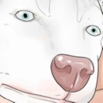 Tower of S t r e s s