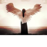 Angels C: