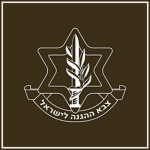 Israel Defense Forcesﾠﾠ