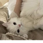krystalize