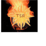 T.S.A. (The Samurai Assassins)