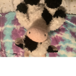 Lilypadd999