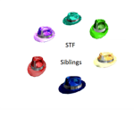 STF Siblings