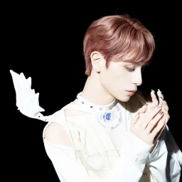 ˖ icon