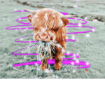Strawbzcowz